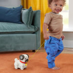 Fisher Price Συρόμενο Παιχνίδι Σκυλάκι Pug Για Νήπια Με Κίνηση Και Ήχους (HTW94) - Image 5