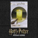 Harry Potter Φωτιστικό Με Ραβδί (PP9563HPV2) - Image 8
