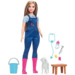 Barbie Κτηνίατρος Με Αρνάκι Που Κουνάει Τα Αυτάκια και 10 Αξεσουάρ (HRG42) - Image 5