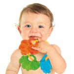 Baby Clementoni Βρεφικό Παιχνίδι Οδοντοφυΐας Ζωάκια Του Δάσους Για 3+ Μηνών (1000-17061)