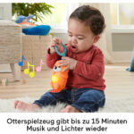Fisher-Price Μουσικό Γυμναστήριο 3 σε 1 (JMN72) - Image 3