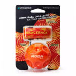 Waboba Bounceback Gradient Moon Ball (334C04) - Image 5